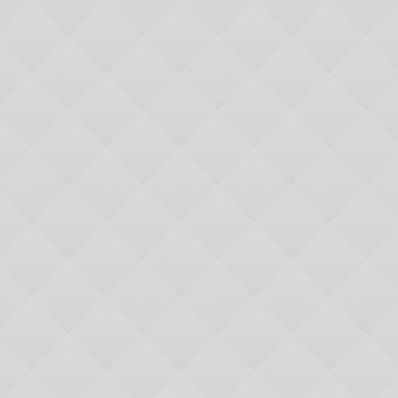 Employment Consultations