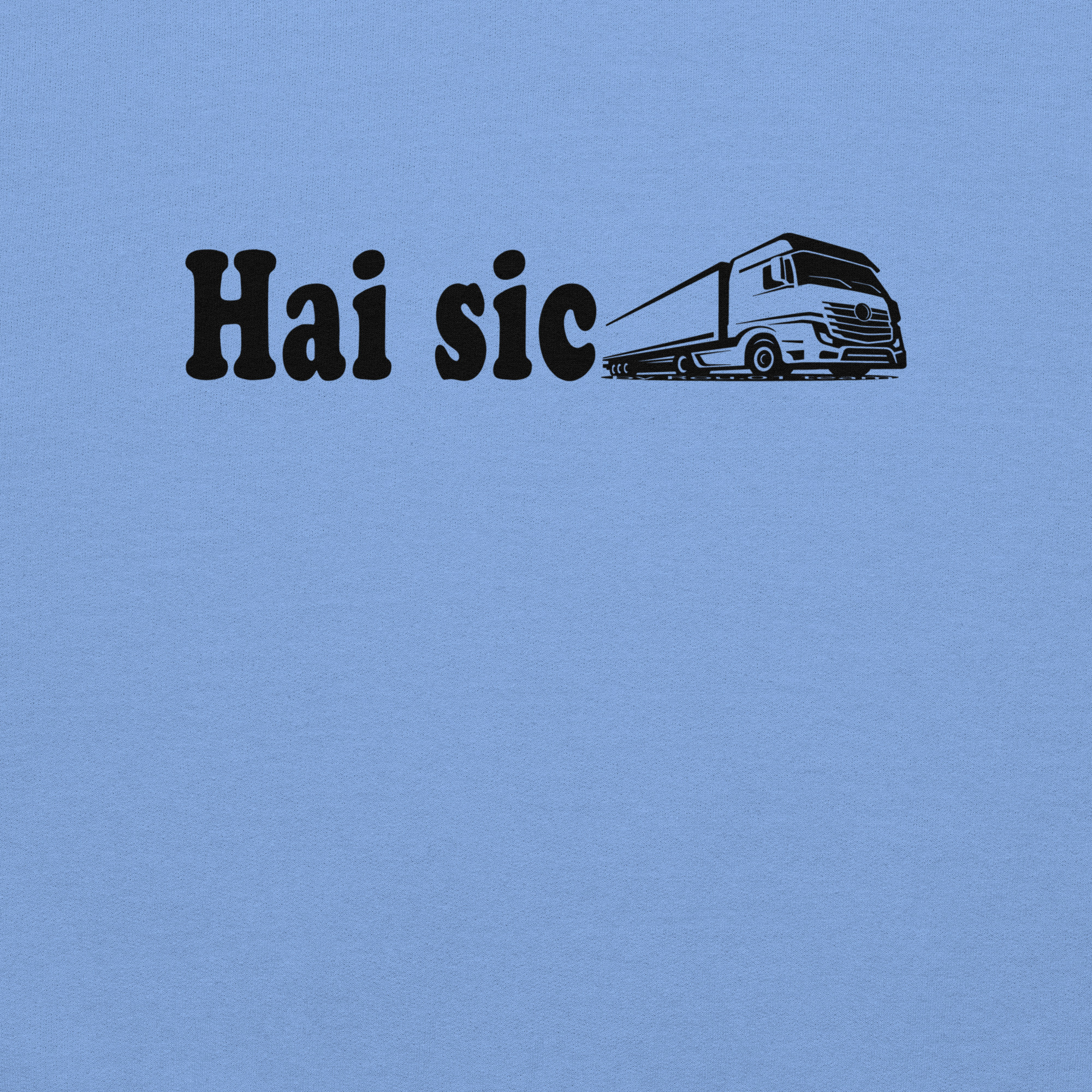 unisex-heavy-blend-hoodie-carolina-blue-front-6aba257d21b2a.jpg