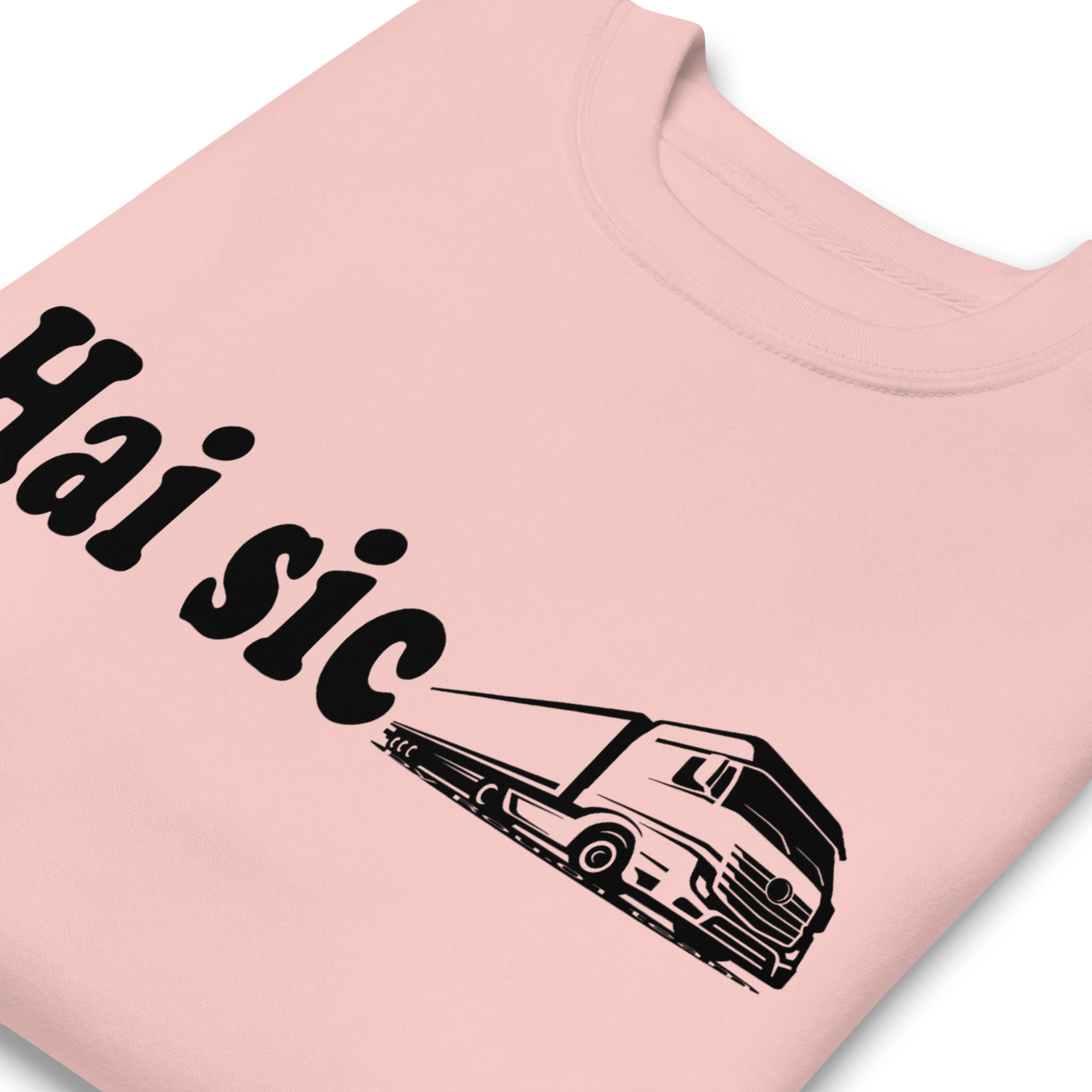 unisex-premium-sweatshirt-light-pink-zoomed-in-6aba22b5edde0.jpg
