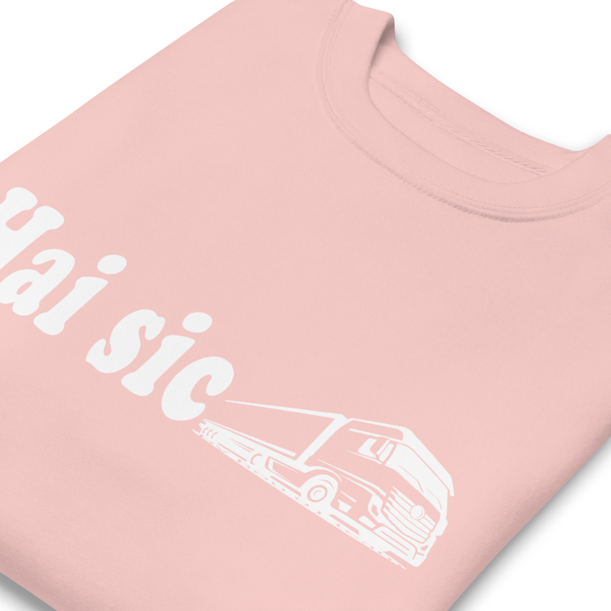 unisex-premium-sweatshirt-light-pink-zoomed-in-6aba23f675d77.jpg